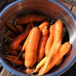 Carrot harvest summer 2015