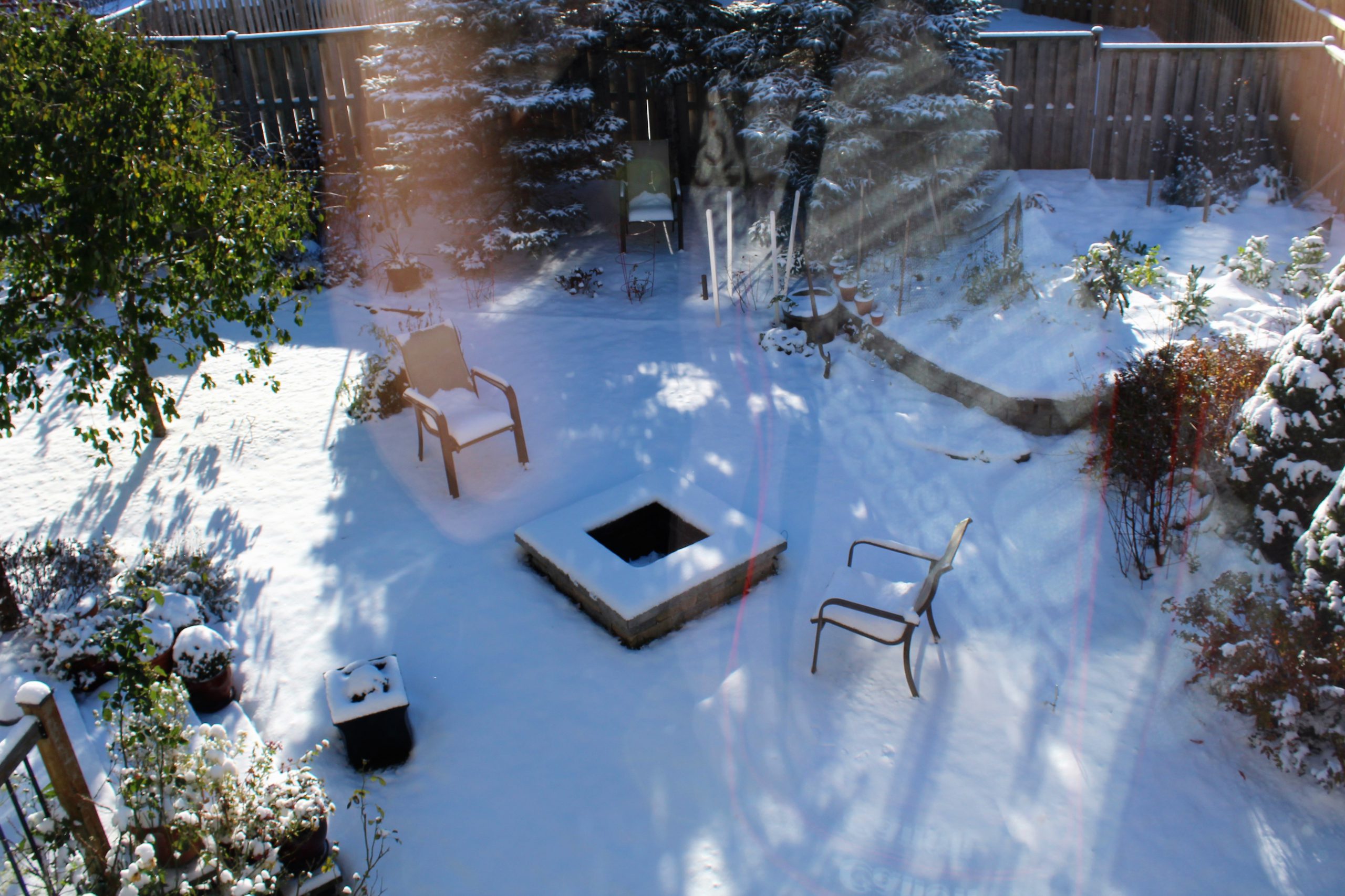 Winter backyard photo
