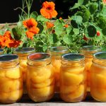 Home Canned Peaches In Light Syrup