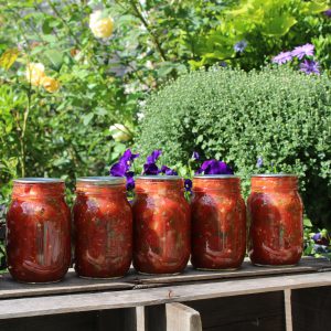 Mama's Chunky Tomato Salsa